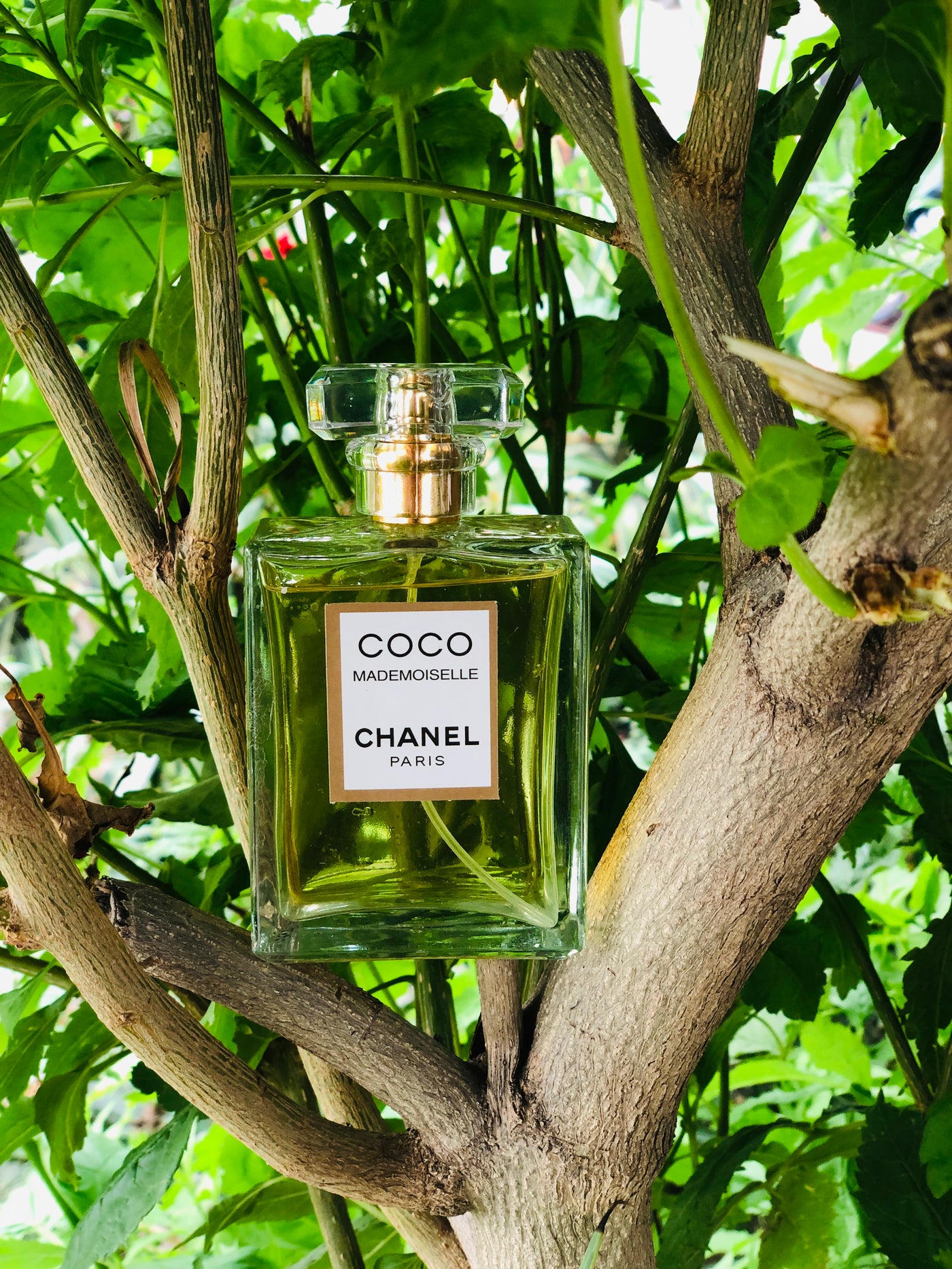 Coco Chanel Mademoiselle